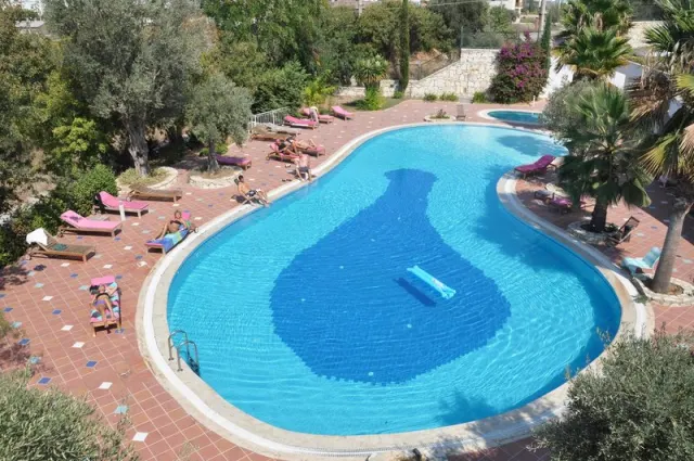 Blue Jasmine Villas - photo 2