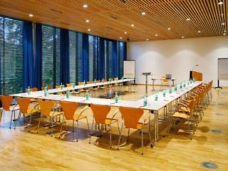 Vienna House by Wyndham Martinspark Dornbirn - foto 4