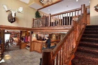 Stoney Creek Inn-Quincy, Quincy