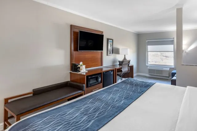 Sun Comfort Hotel - photo 4