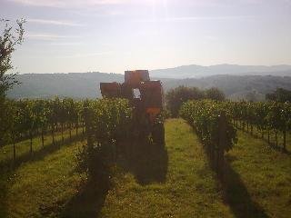 Agriturismo Il Borghetto - foto 4