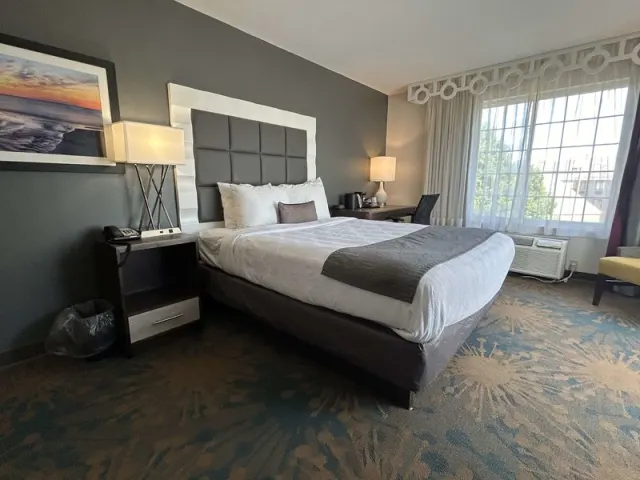 Best Western Erie Inn  Suites - photo 4