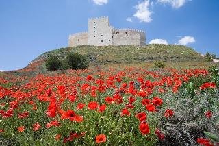 Residencia Real Castillo de Curiel - photo 2
