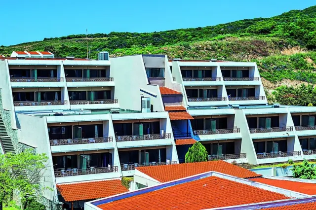 Theoxenia - photo 2