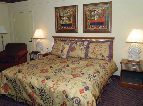 Holiday Inn French QuarterChateau LeMoyne - photo 4