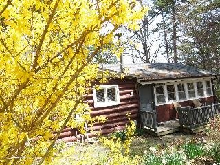 Tall Pines Inn - foto 1