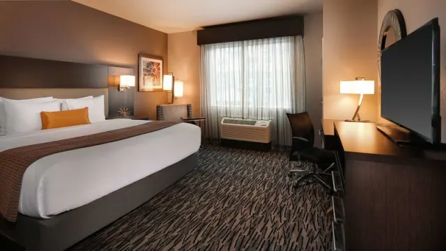 Best Western Plus Executive Residency Baytown - photo 4