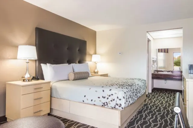 Alliance Hotel & Suites - foto 4