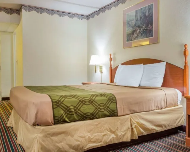 Rodeway Inn Stone Mountain - photo 3