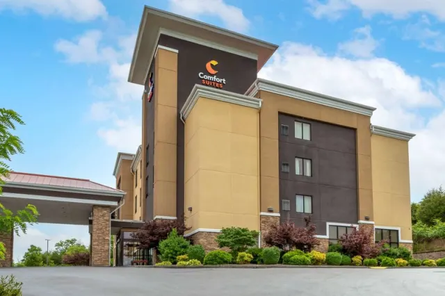 Comfort Suites Kingsport - photo 2