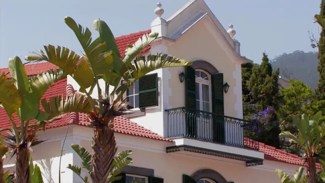 Quinta do Estreito Vintage House - foto 4