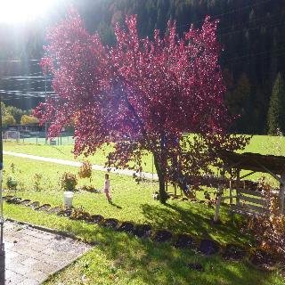 Haus Ausserbach - photo 2