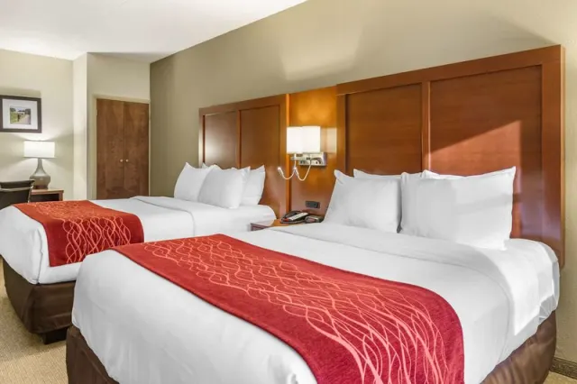 Comfort Inn Lancaster - Rockvale Outlets - photo 4