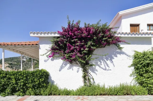 Skopelos Village Hotel - photo 2