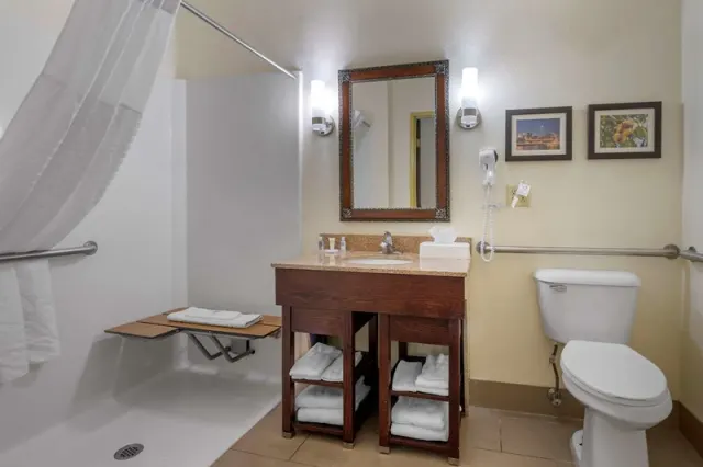 Comfort Suites Miamisburg - Dayton South - photo 4