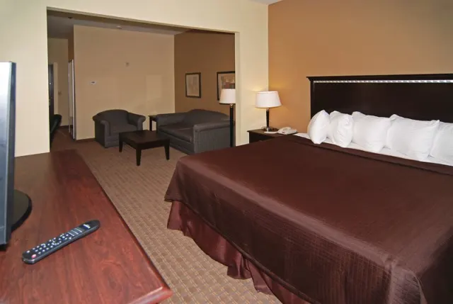 Best Western Lamesa Inn & Suites - photo 4