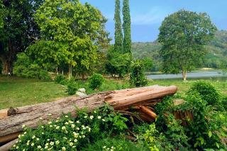 Thap Pala Cottage - foto 2