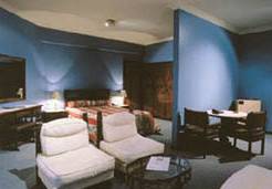 Plaza Blumenau Hotel - photo 3