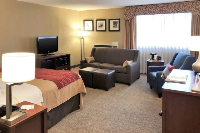 Comfort Inn Farmington Hills - photo 4