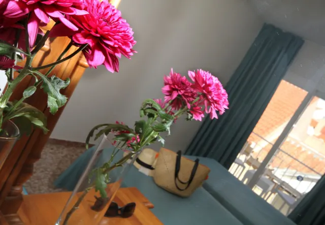Carihuela Suites - photo 4