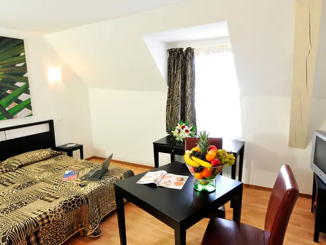 ResidHotel Mulhouse Centre - photo 3