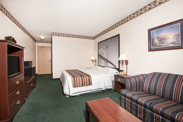 Holiday Inn & Suites Windsor Ambassador Bridge - photo 3