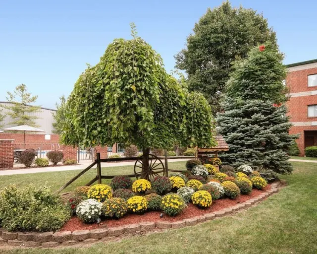 Holiday Inn Parkersburg - photo 3