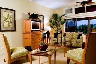 The Kapalua Villas - photo 3