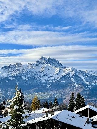 Villars Palace - foto 4
