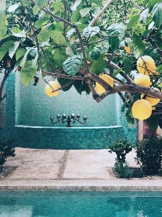 Riad Emberiza Sahari - foto 2