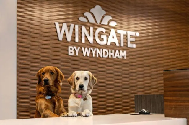 Wingate by Wyndham Lethbridge - photo 2
