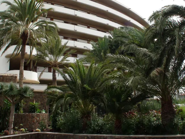 Riu Palace Palmeras - 사진 2