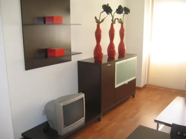 Domocenter Apartamentos Turísticos - photo 4