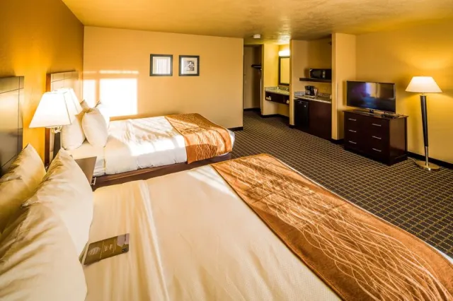 Comfort Inn Gunnison - photo 3