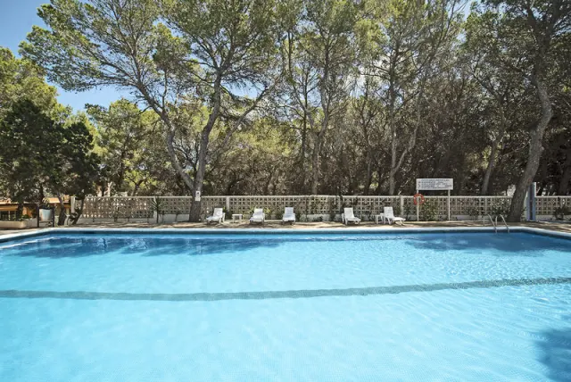 Apartamentos Es Pujols - photo 4