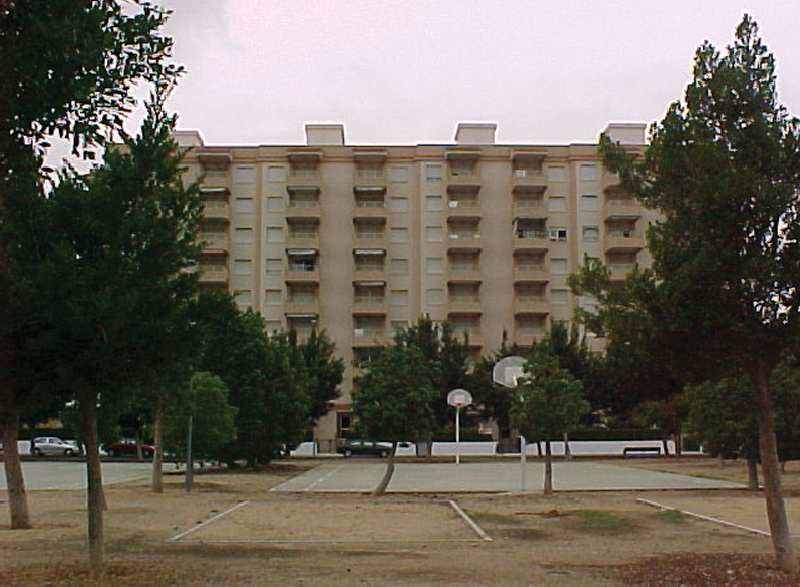 Jardin - foto 1