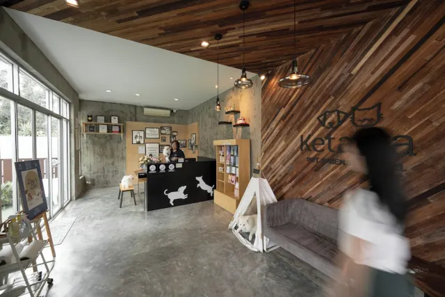Ketawa Pet Friendly Hotel - photo 2