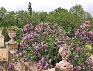 Château de Moison - foto 3