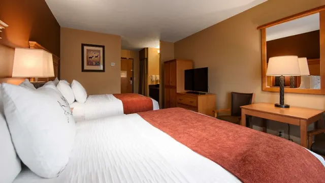 Best Western Plus Deer Park Hotel and Suites - photo 3