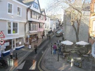 King William IV, Totnes