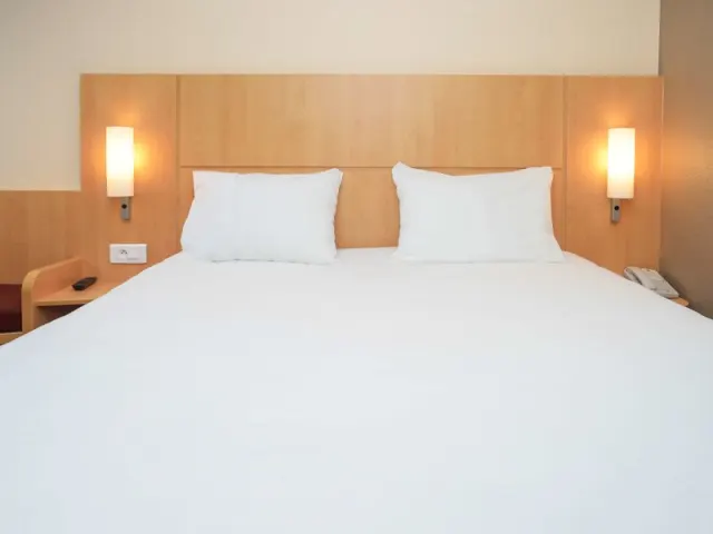 Hôtel ibis Lyon Gerland Rue Mérieux - foto 4