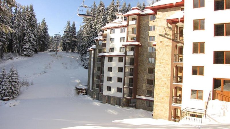 Complex Kamelia - foto 1