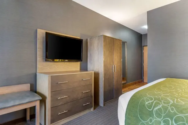 Comfort Suites Southgate - photo 4