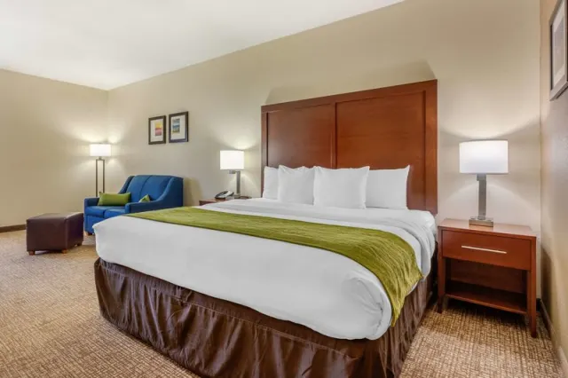 Comfort Inn Lenoir City - photo 4