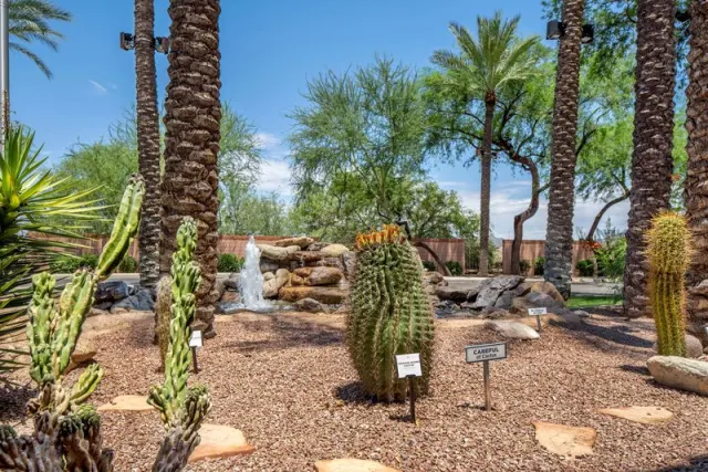 Hilton Vacation Club Scottsdale Villa Mirage - photo 3