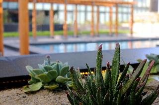 Quartz Hotel & Spa - photo 4