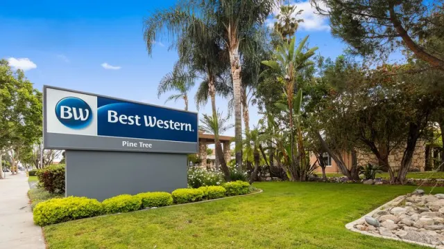 Best Western Pine Tree Motel, Chino
