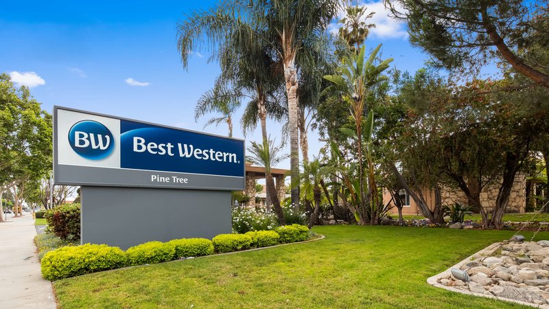 Best Western Pine Tree Motel - photo 1
