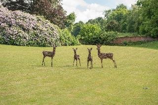 Wotton House - photo 1