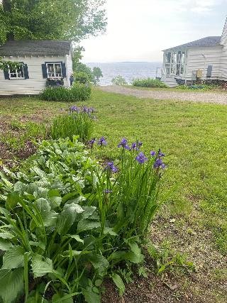 The High Tide Inn - foto 1